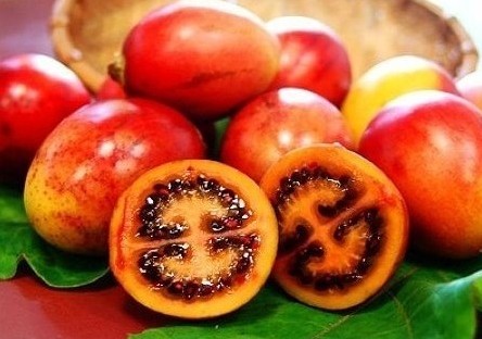 跪求全国各地特产水果!~要3个字名称的水果.要