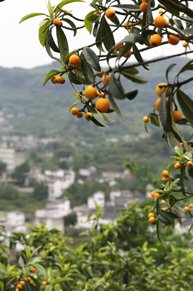 四川省眉山市仁寿文宫高中高考上线人数是多少