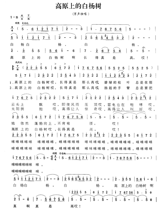 白杨树简谱_小白杨树简谱(2)