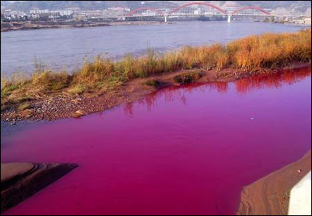 黄河兰州段红色污染原因查明