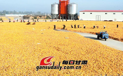 世界上产量最大的水果_人均粮食产量属于(3)