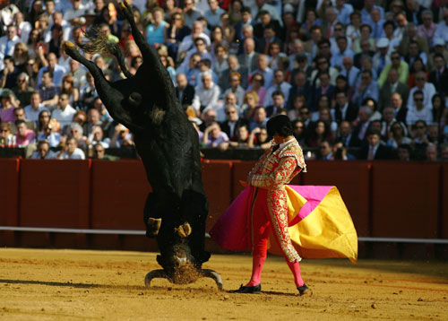 如何翻跟斗倒立 2647744.jpg