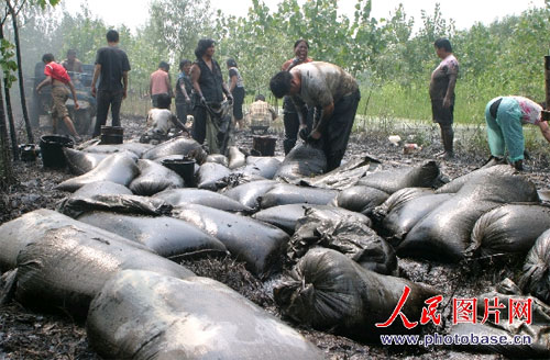 济南石油管道被盗挖 泄漏原油遭哄抢(组图)