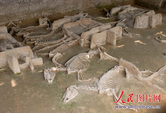 组图:河南洛阳又现一车<em>六马</em>车马坑__中国甘