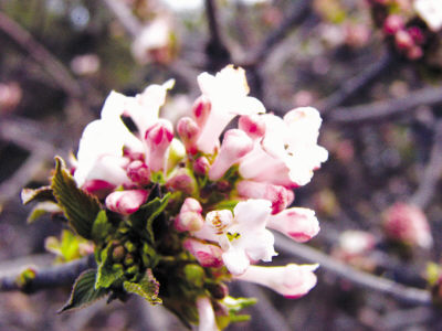 兰州:2月下旬气温创近60年来新高