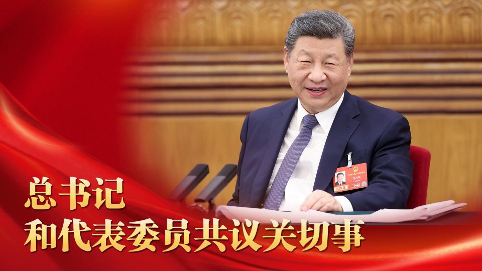 微视频丨总书记和代表委员共议关切事