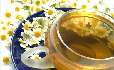 春季清肝火<em>喝</em>野<em>菊花茶</em>治口腔溃疡可多吃苦瓜_