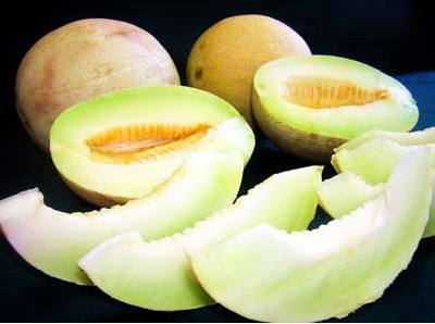 武威特产—黄河密瓜