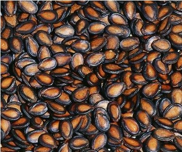 武威特产—黑瓜籽