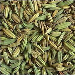 武威特产—小茴香