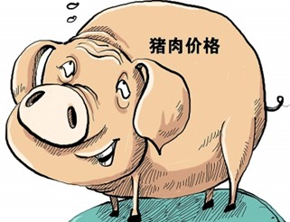 生猪价格走低跌破成本