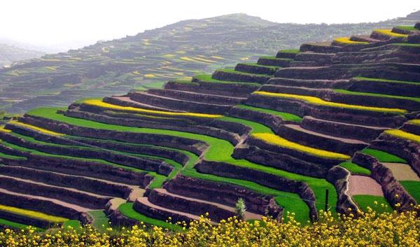 甘肃省平凉市庄浪县全力打造梯田旅游观光带
