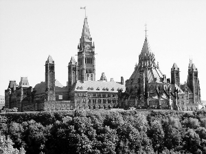加拿大渥太华大学在线观看:加拿大渥太华华人