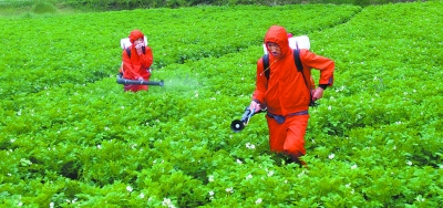 点击浏览下一页