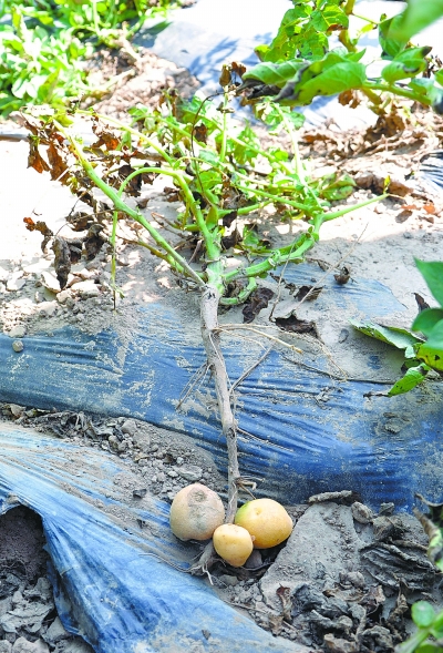 点击浏览下一页