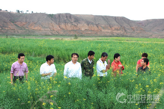 人社部万名专家服务基层专家团在甘肃开展服
