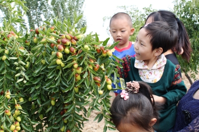 甘肃经济信息频道