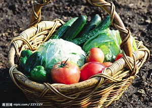 9月兰州肉菜油米都涨了
