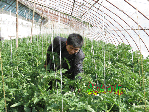 武威市凉州区经济总量_武威市凉州区图片(2)