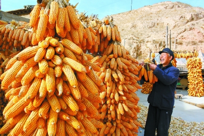甘肃经济信息频道