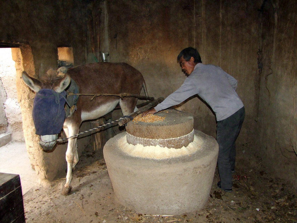 【陇原发展 点滴印记】磨(摄影作品)__中国甘肃