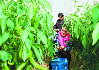 2012年高台县农民人均纯收入达到7604元