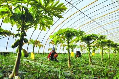 甘肃经济信息频道