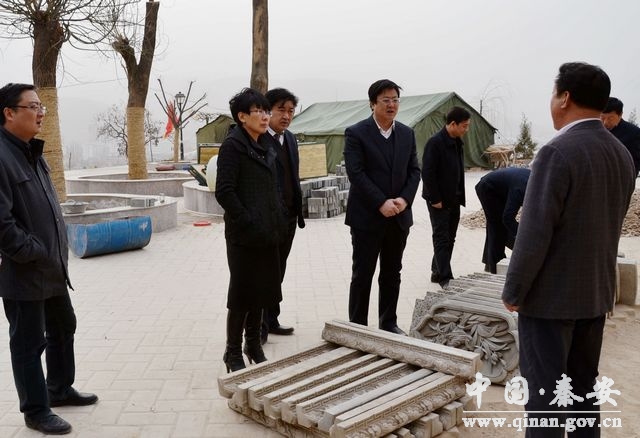 天水秦安县委领导调研百里生态文化长廊绿化工