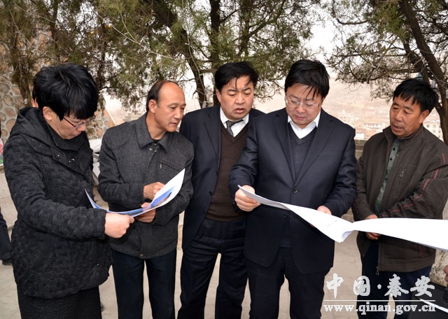 天水秦安县委领导调研百里生态文化长廊绿化工