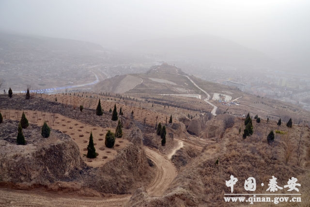 天水秦安县委领导调研百里生态文化长廊绿化工