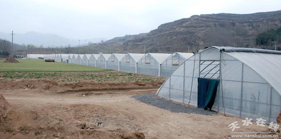 访天水森泰农业综合开发有限公司(图)