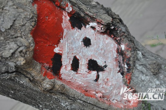 六七岁孩子所作卡通状树洞画扮靓合肥沿河路