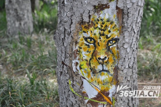 六七岁孩子所作卡通状树洞画扮靓合肥沿河路
