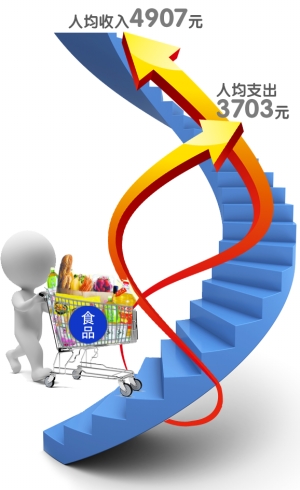 收入支出明细表模板_食品支出占收入比