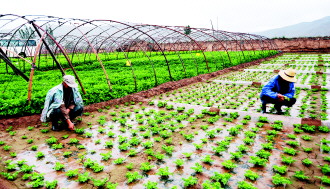 2000年人均工资_人均工资9000元笑话(3)