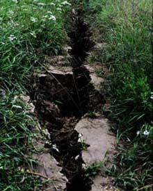 图片直击震后灾区