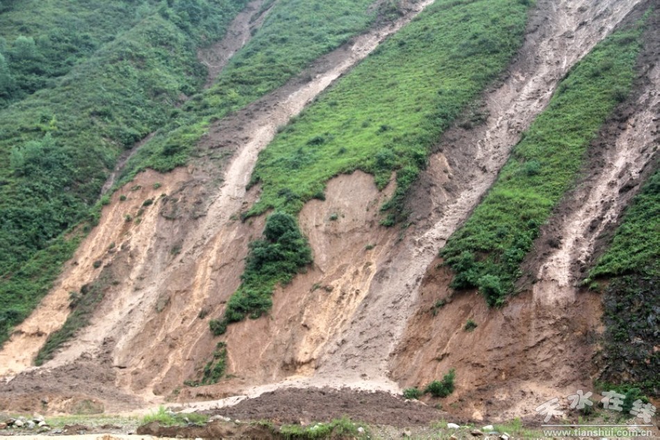 天水清水县遭受强降雨 农作物严重受损(图)