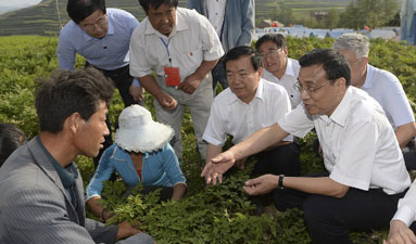 庆阳西峰雨洪集蓄保塬生态