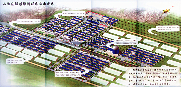 2019甘肃市州经济_甘肃省临夏市有哪些县(3)