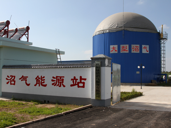 重庆小伙养殖青蛙_重庆统计局养殖收入