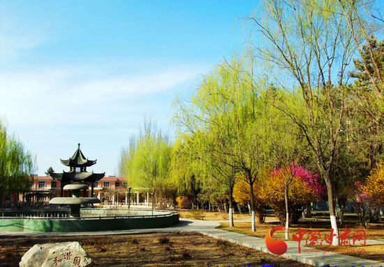 兰州大学的一年四季\/组图