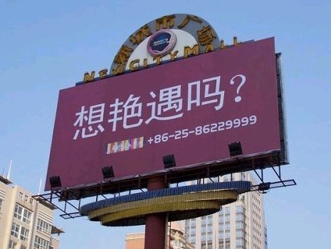 街头卖萌路标图片