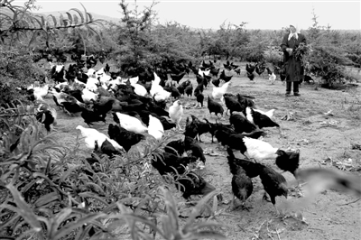 山丹县GDP_山丹县的社保局在哪个位置(2)