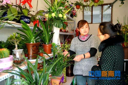 陇南礼县大学生赵妹芳自主创业办起花卉店(图