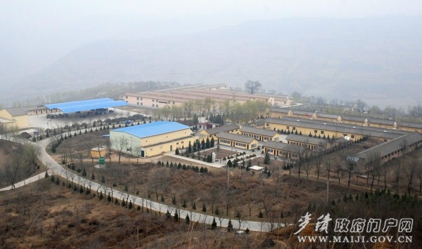 【最美乡村】天水麦积伯阳镇曹石村:富裕的绿