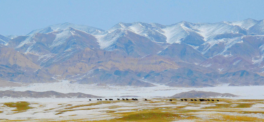 甘肃阿克塞周围山,甘肃阿克塞当金山,肃北阿克塞有什么景点_大山谷图库