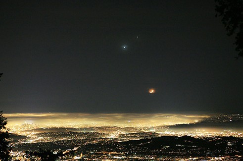 朱诺gdp_朱诺·坦普尔(2)