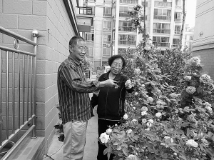 【兰州社区观察】身边有个好邻居 小区种花大