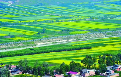 临夏和政抓住当地高寒阴湿的气候特点大力发展