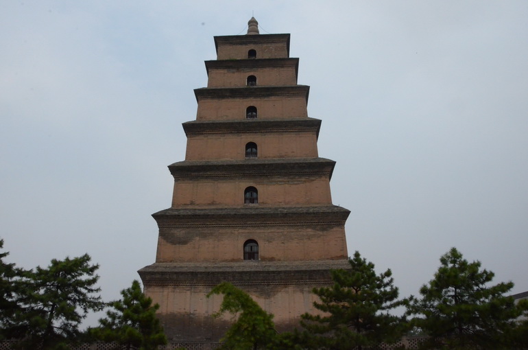 10507642_511527.jpg